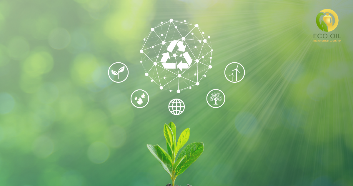 Recycling UCO: What Can Used Cooking Oil Become?