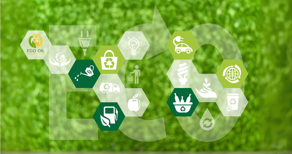 Recycling Used Cooking Oil: A Step Toward Better Public Health